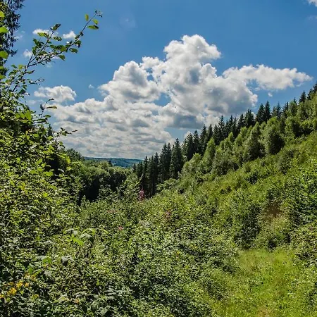 Au Canard 3* La-Roche-en-Ardenne
