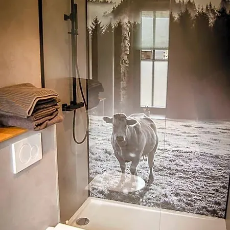 Au Canard Bed & Breakfast La-Roche-en-Ardenne