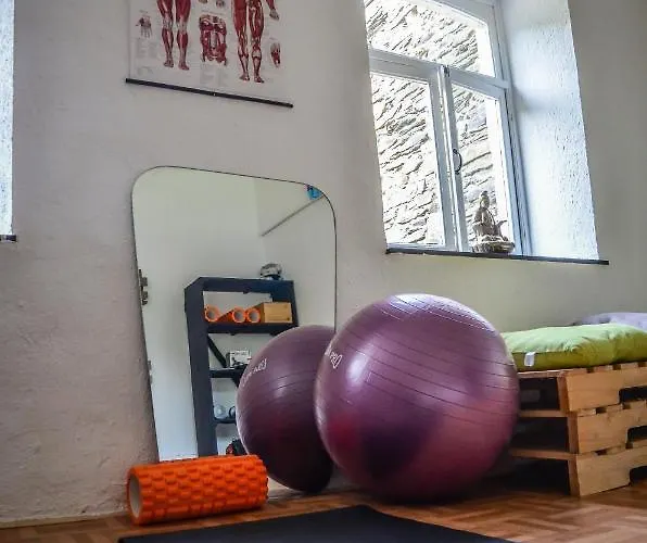 Bed and Breakfast Au Canard 3*